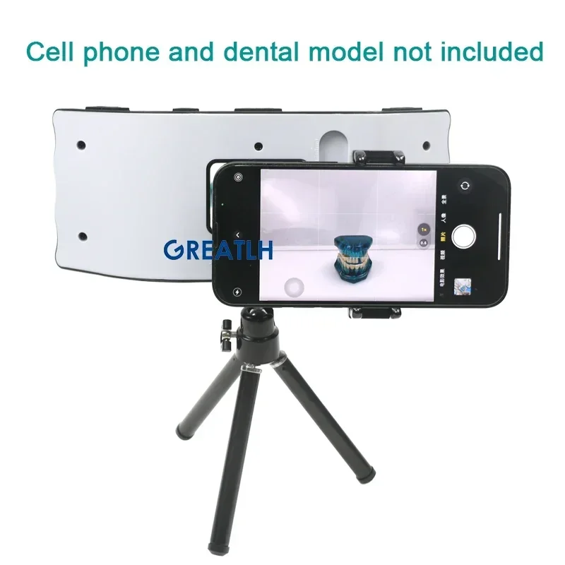구강 치과 사진 조명 치과 플래시 라이트 사진 장비 구 - Photography Lighting Lamp 리뷰 및 가격