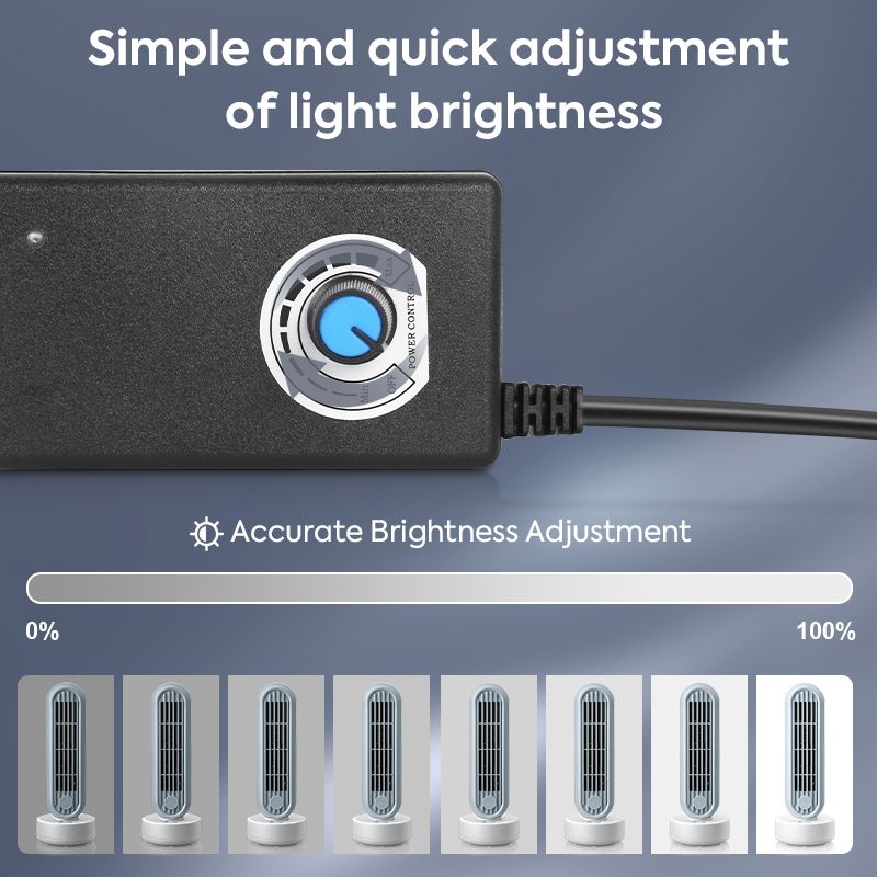 사진 스튜디오 사진 상자 키트, 대형 전문 탁상, 0- - Photography Lighting Kit 리뷰 및 가격